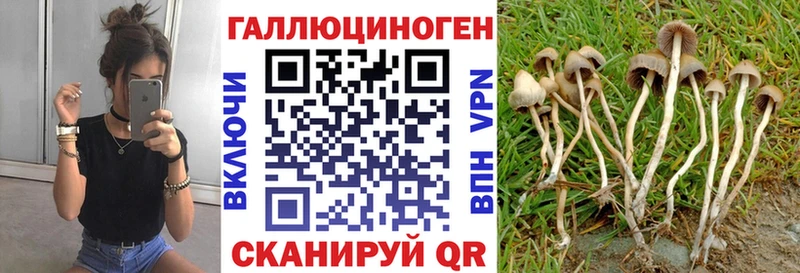 Купить где  Бежецк  Галлюциногенные грибы MAGIC MUSHROOMS 